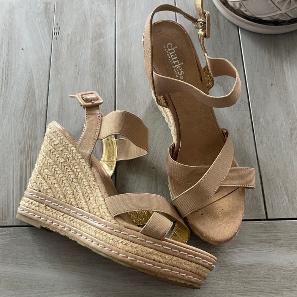 Charles David Wedges